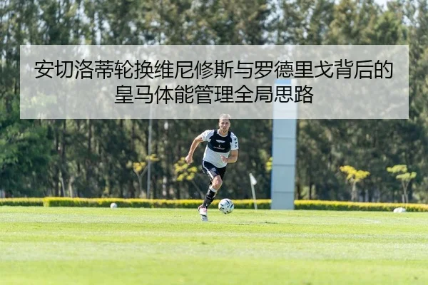 安切洛蒂轮换维尼修斯与罗德里戈背后的皇马体能管理全局思路