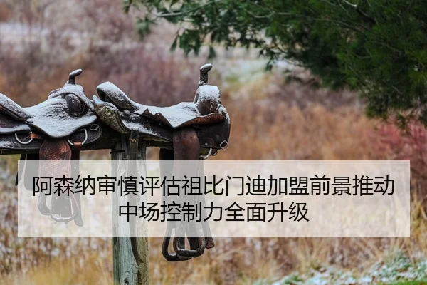 阿森纳审慎评估祖比门迪加盟前景推动中场控制力全面升级